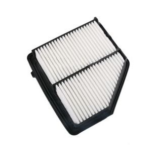 Filtro De Aire Motor